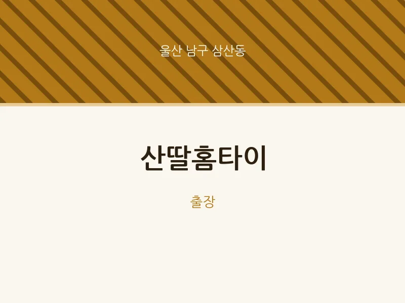 삼산동 출장마사지 산딸홈타이 | 마픽