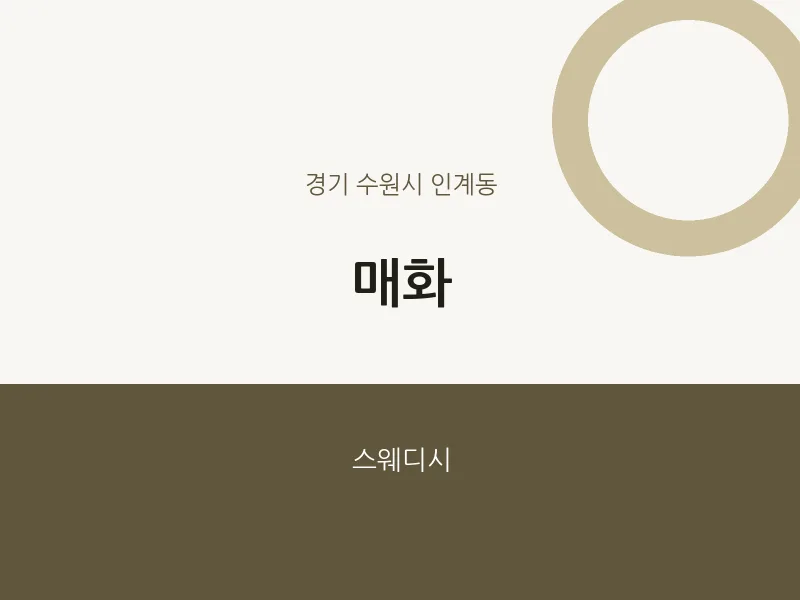 인계동 출장마사지 홈타이 매화 | 마픽