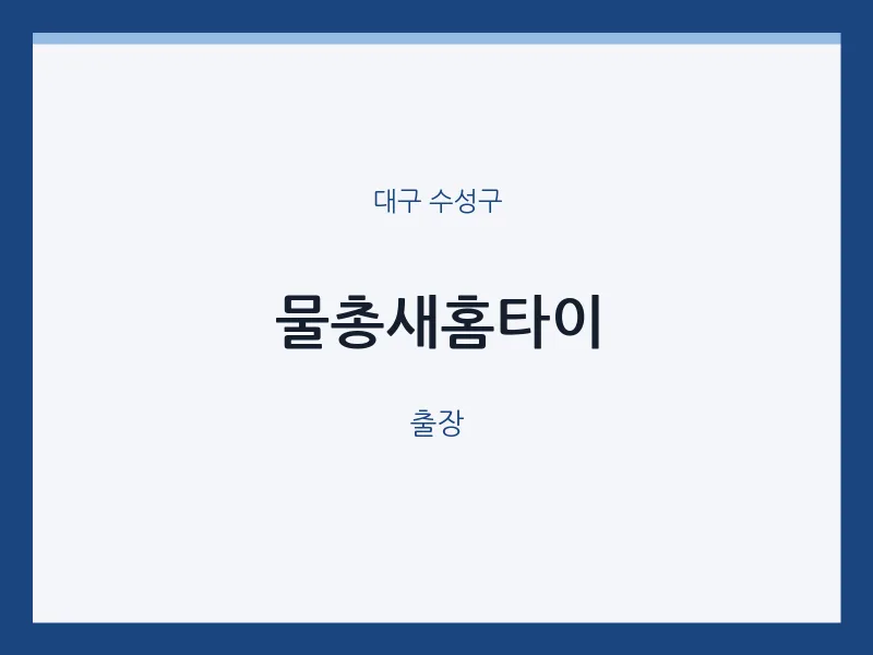 수성구 출장마사지 물총새홈타이 | 마픽