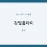 감빛홈타이