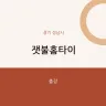 잿불홈타이