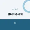 물떼새홈타이