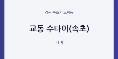 노학동 출장마사지 홈타이 수타이(속초) | 마픽