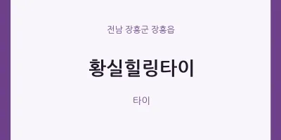 장흥읍 출장마사지 홈타이 황실힐링타이 | 마픽