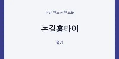 완도읍 출장마사지 논길홈타이 | 마픽