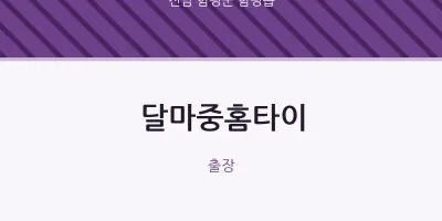 함평읍 출장마사지 달마중홈타이 | 마픽