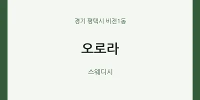 비전1동 출장마사지 홈타이 오로라 | 마픽