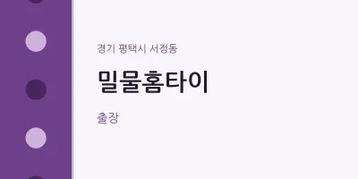 서정동 출장마사지 밀물홈타이 | 마픽