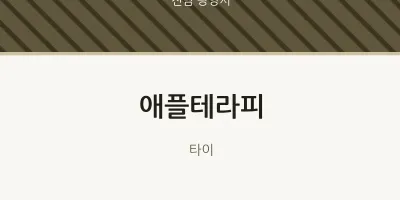 광양시 출장마사지 홈타이 애플테라피 | 마픽