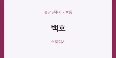 가호동 출장마사지 홈타이 백호 | 마픽