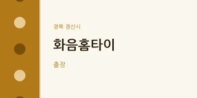 경산시 출장마사지 화음홈타이 | 마픽