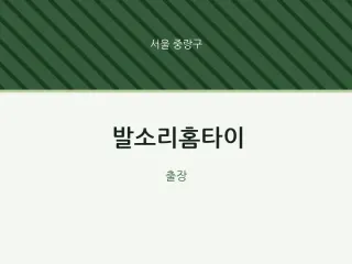 발소리홈타이