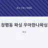 장평동 왁싱 우아한나왁싱