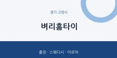 고양시 출장마사지 벼리홈타이 | 마픽