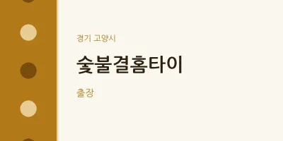 고양시 출장마사지 숯불결홈타이 | 마픽
