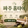 파주 홈타이