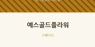 마두1동 출장마사지 홈타이 예스골드플라워 | 마픽
