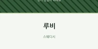 위례동 출장마사지 홈타이 루비 | 마픽