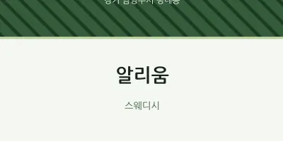 평내동 출장마사지 홈타이 알리움 | 마픽
