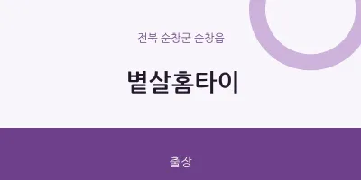 순창읍 출장마사지 볕살홈타이 | 마픽