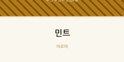 광안4동 출장마사지 홈타이 민트 | 마픽
