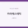 카라에스테틱