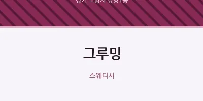 장항1동 출장마사지 홈타이 그루밍 | 마픽
