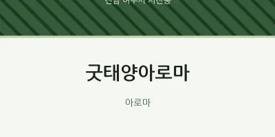 시전동 출장마사지 홈타이 굿태양아로마 | 마픽