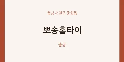 장항읍 출장마사지 뽀송홈타이 | 마픽