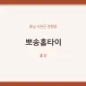 뽀송홈타이