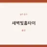 새벽빛홈타이