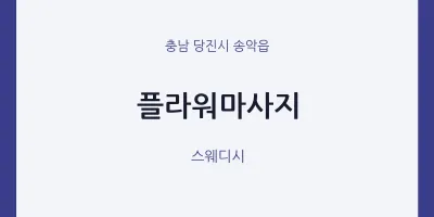 송악읍 출장마사지 홈타이 플라워마사지 | 마픽