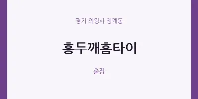 청계동 출장마사지 홍두깨홈타이 | 마픽