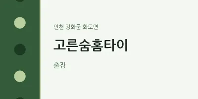 화도면 출장마사지 고른숨홈타이 | 마픽