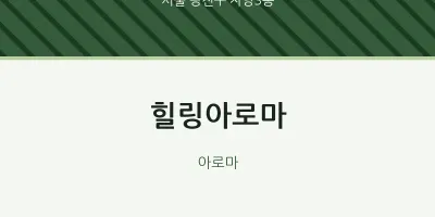 자양3동 출장마사지 홈타이 힐링아로마 | 마픽