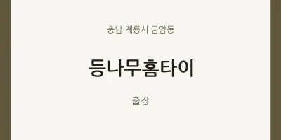 금암동 출장마사지 등나무홈타이 | 마픽