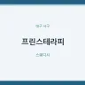 프린스테라피