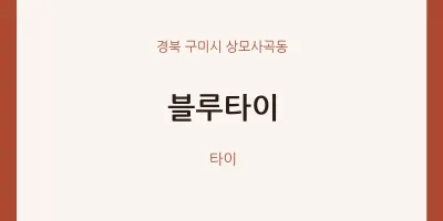 상모사곡동 출장마사지 홈타이 블루타이 | 마픽