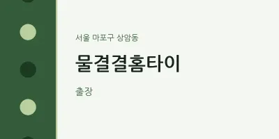 상암동 출장마사지 물결결홈타이 | 마픽