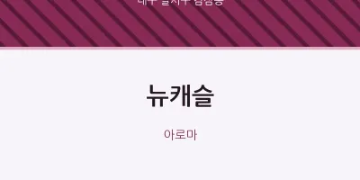 감삼동 출장마사지 홈타이 뉴캐슬 | 마픽