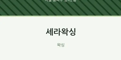방이2동 출장마사지 홈타이 세라왁싱 | 마픽
