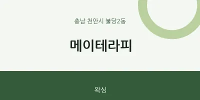불당2동 출장마사지 홈타이 메이테라피 | 마픽