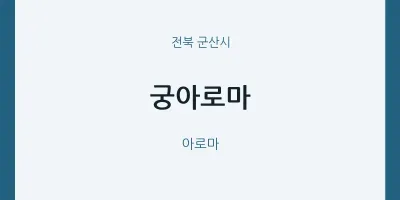 군산시 출장마사지 홈타이 궁아로마 | 마픽