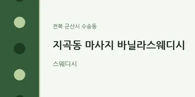 수송동 출장마사지 홈타이 바닐라스웨디시 | 마픽