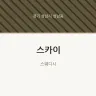 스카이