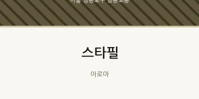 영등포동 출장마사지 홈타이 스타필 | 마픽
