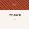 은은홈타이