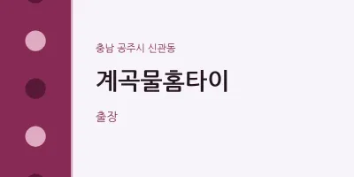 신관동 출장마사지 계곡물홈타이 | 마픽