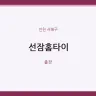 선잠홈타이