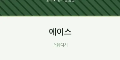 봉담읍 출장마사지 홈타이 에이스 | 마픽